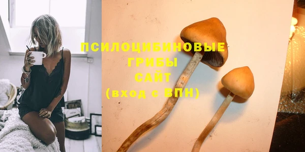 ECSTASY Горнозаводск